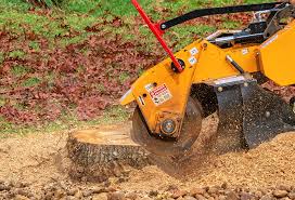 Seasonal Cleanup (Spring/Fall) in Lackawanna, NY