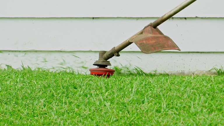 Reliable Lackawanna, NY Tree Services Solutions
